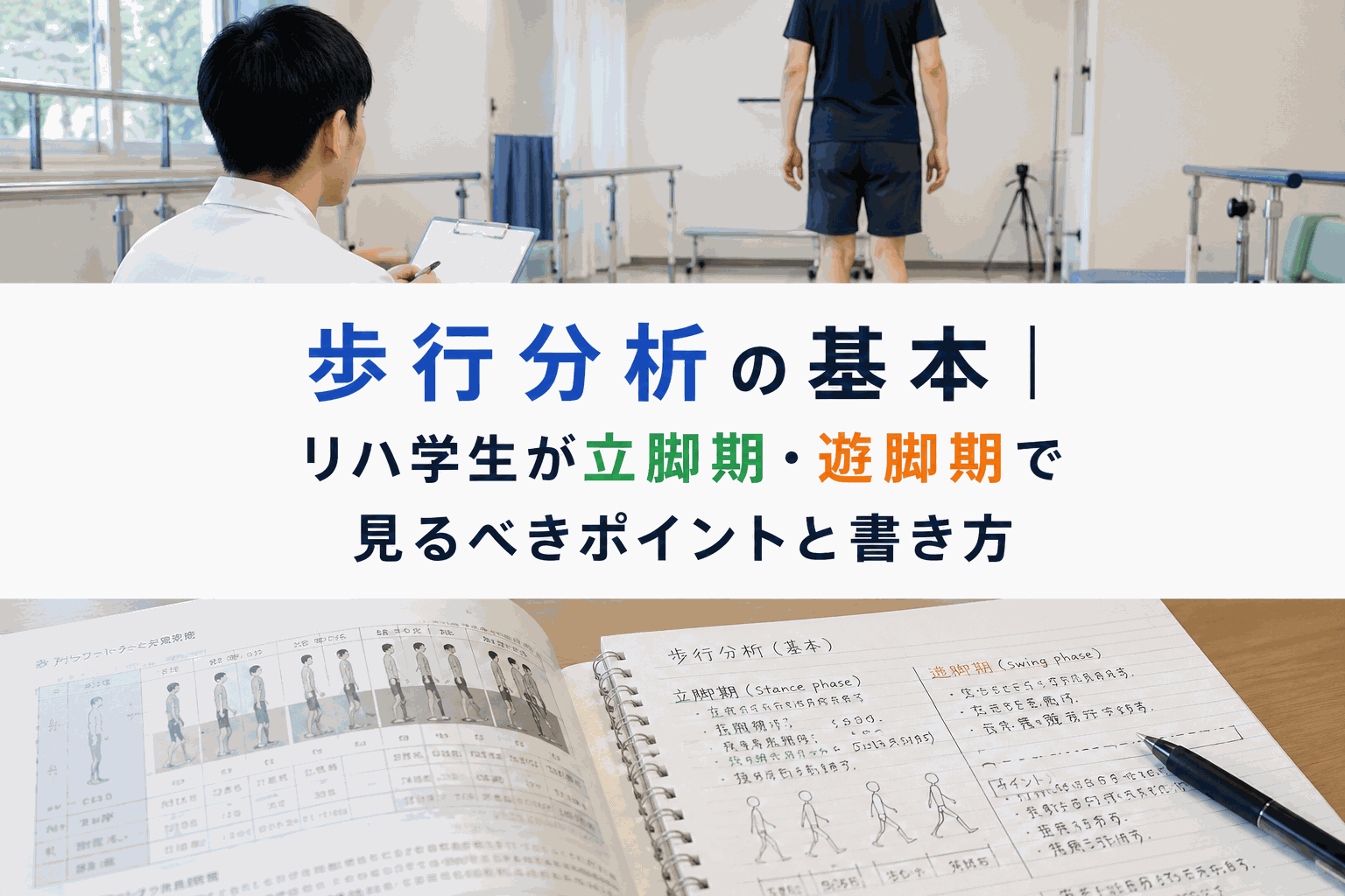 歩行分析の基本|リハ学生が立脚期・遊脚期で見るべきポイントと書き方