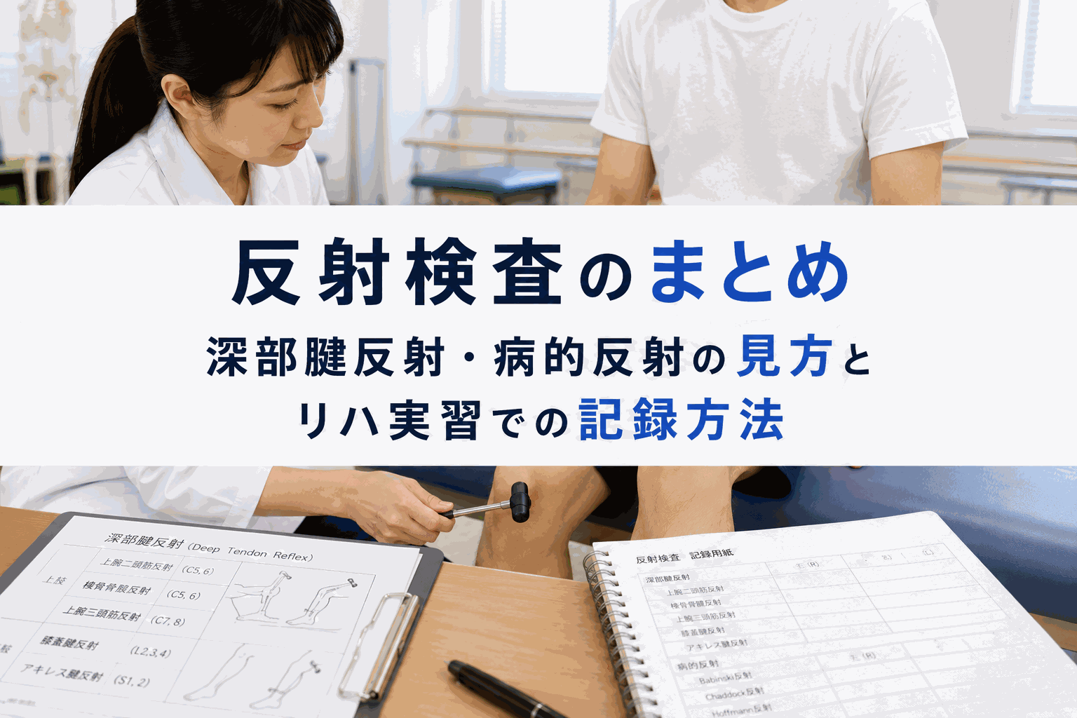 反射検査のまとめ|深部腱反射・病的反射の見方とリハ実習での記録方法