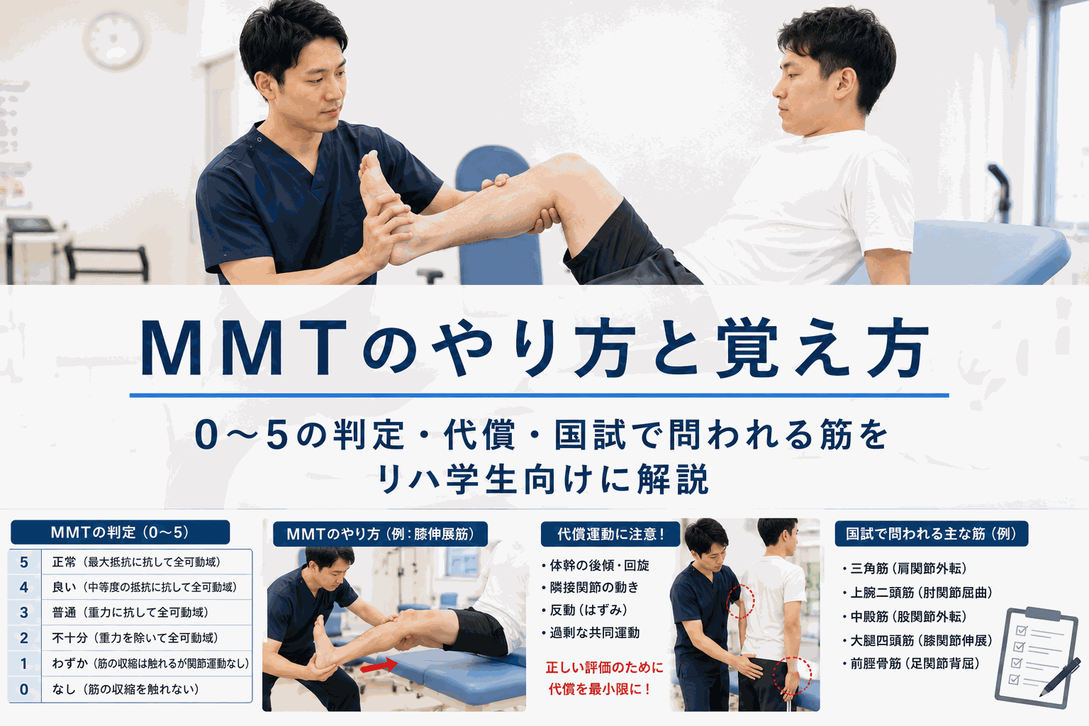 MMTのやり方と覚え方|0〜5の判定・代償・国試で問われる筋をリハ学生向けに解説